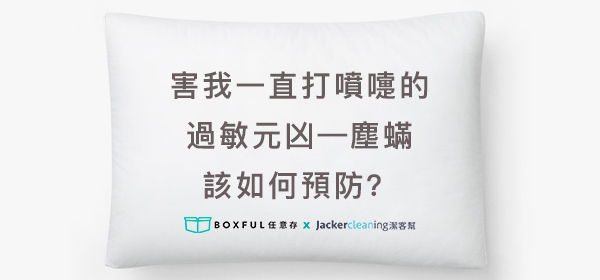 害我一直打噴嚏的過敏元凶—塵蟎該如何預防？Boxful任意存到府迷你倉 迷你箱 收納空間