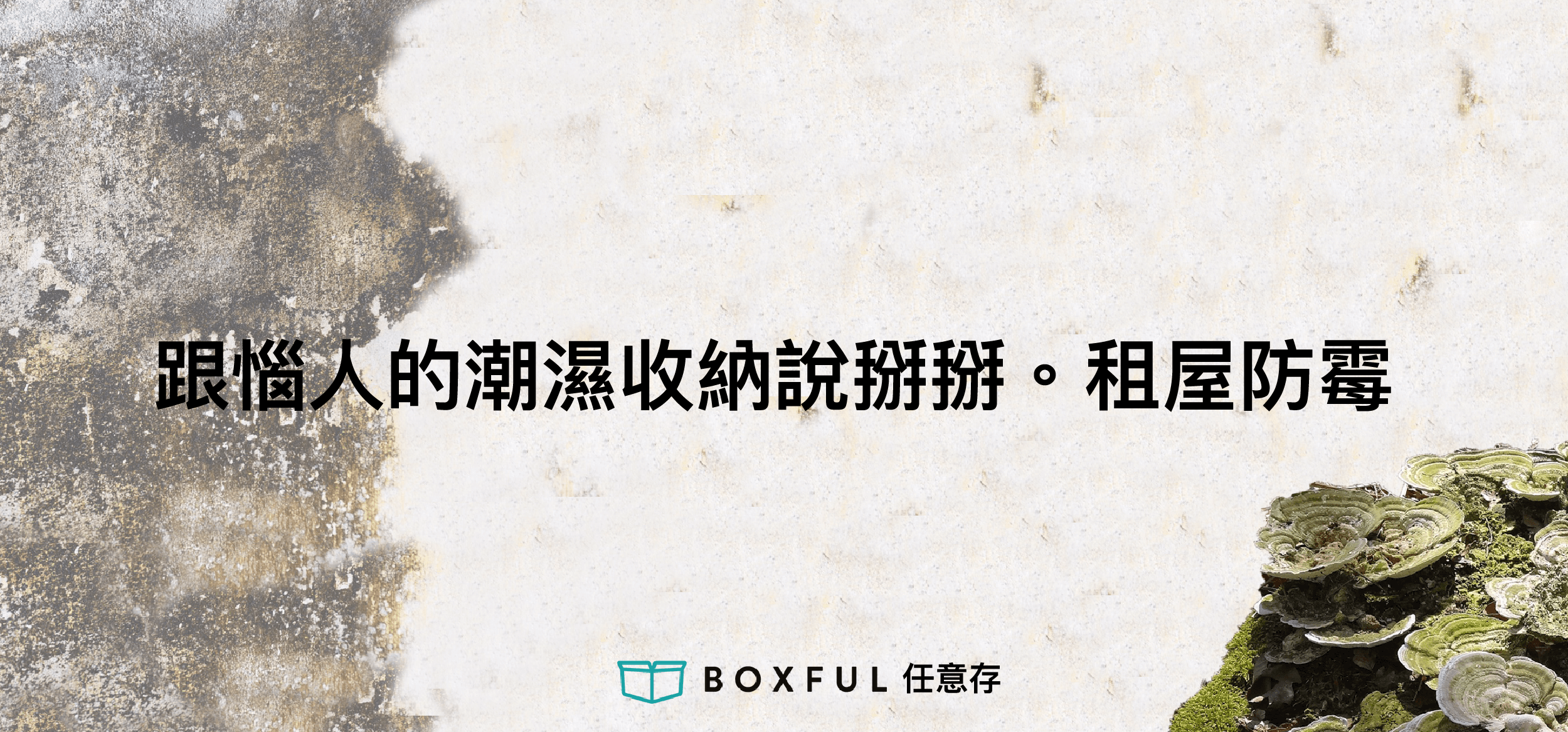 跟惱人的發霉與潮濕收納說掰掰。租屋防霉與除濕你不可不知的二三事！Boxful任意存到府迷你倉 收納箱